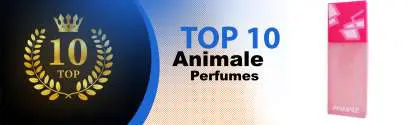 Top 10 Best Animale perfumes : Ultimate Buyer Guide