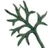 Artemisia notes in Trussardi Riflesso Blue Vibe