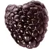 Black raspberry notes in Ineke Floral Curiosities - Briar Rose