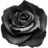 Black rose notes in House of Sillage Chevaux d'Or