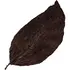 Black tobacco notes in Rania J. T. Habanero