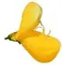 Broom absolute notes in Lubin Nuit de Longchamp Broom absolute notes in Lubin Nuit de Longchamp