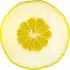 Citron notes in Frapin Paradis Perdu