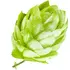 Hop notes in Slumberhouse Sova
