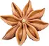 Indian star anise notes in Goldfield & Banks Blue Cypress Indian star anise notes in Goldfield & Banks Blue Cypress