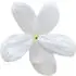 Jasmine notes in Giardino Benessere Cotton Flower