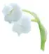 Lily of the valley notes in La Rive Pearl Woman