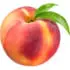 Persian peach notes in Jette Joop Black