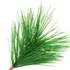 Pine needle absolute notes in DSH Perfumes Sweet Pine Tar