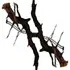 Roots notes in Zoologist Bat Roots notes in Zoologist Bat