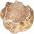 White truffle notes in Eau d'Italie Sienne L'Hiver