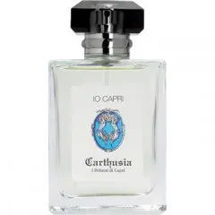 Carthusia Io Capri, Compliment Magnet Carthusia Perfume with Orange Fragrance of The Year