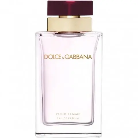 Dolce & Gabbana Dolce & Gabbana pour Femme, Compliment Magnet Dolce & Gabbana Perfume with Neroli Fragrance of The Year
