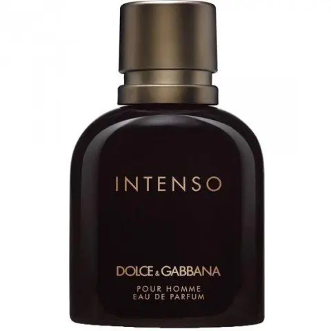 Dolce & Gabbana Dolce & Gabbana pour Homme Intenso, Most sensual Dolce & Gabbana Perfume with Aquatic notes Fragrance of The Year