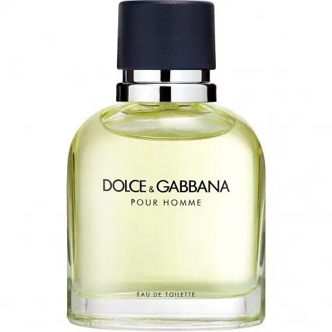 Dolce & Gabbana Dolce & Gabbana pour Homme, Long Lasting Dolce & Gabbana Perfume with Bergamot Fragrance of The Year