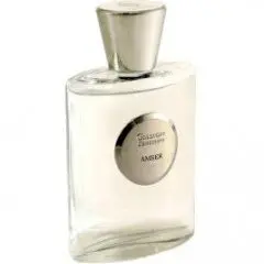 Giardino Benessere Amber, Most sensual Giardino Benessere Perfume with Jasmine Fragrance of The Year