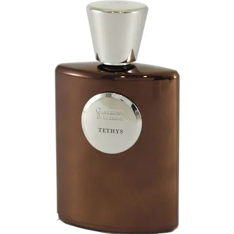 Giardino Benessere Tethys, Most beautiful Giardino Benessere Perfume with Coffee Fragrance of The Year