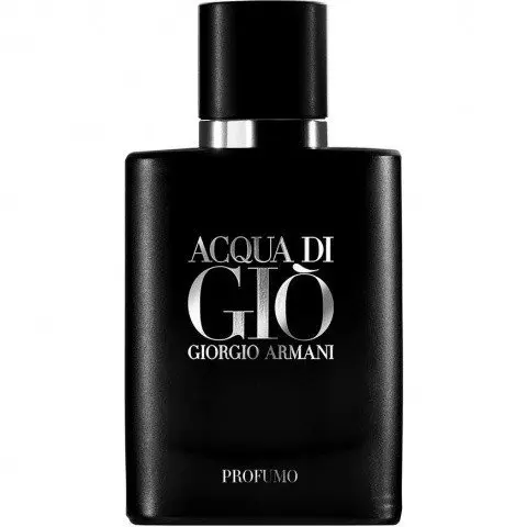 Giorgio Armani Acqua di Giò Profumo, Winner! The Best Overall Giorgio Armani Perfume of The Year