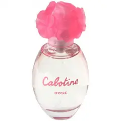 Grès Cabotine Rose, Most beautiful Grès Perfume with Cherry blossom Fragrance of The Year