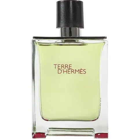 Hermès Terre d'Hermès, Winner! The Best Overall Hermès Perfume of The Year