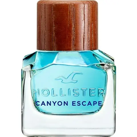 Hollister Canyon Escape for Him, Luxurious Hollister Perfume with Bergamot Fragrance of The Year