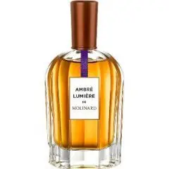 Molinard La Collection Privée - Ambré Lumière, Most beautiful Molinard Perfume with Russian coriander Fragrance of The Year
