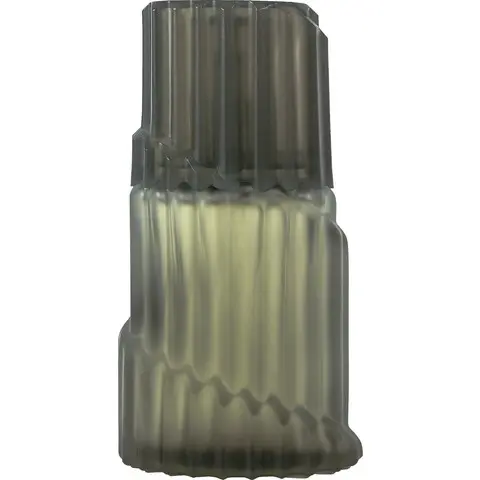Montana Montana Homme, Long Lasting Montana Perfume with Artemisia Fragrance of The Year