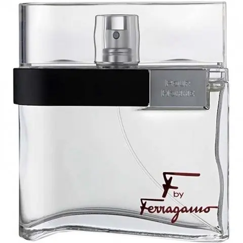 Salvatore Ferragamo F by Ferragamo pour Homme Black, Winner! The Best Overall Salvatore Ferragamo Perfume of The Year