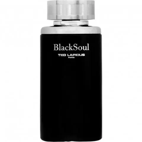 Ted Lapidus BlackSoul, Most sensual Ted Lapidus Perfume with Spearmint Fragrance of The Year