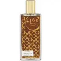4160 Tuesdays Over the Chocolate Shop, Highest rated scent 4160 Tuesdays Perfume of The Year
