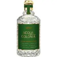 4711 Acqua Colonia Blood Orange & Basil, 2nd Place! The Best Basil Scented 4711 Perfume of The Year