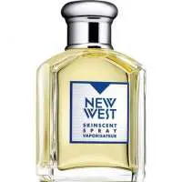 Aramis New West for Him, Luxurious Aramis Perfume with Aldehydes Fragrance of The Year