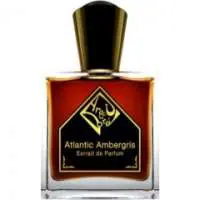 Areej Le Doré Atlantic Ambergris, Compliment Magnet Areej Le Doré Perfume with Bergamot Fragrance of The Year