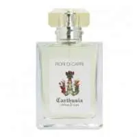 Carthusia Fiori di Capri, Confidence Booster Carthusia Perfume with Mandarin orange Fragrance of The Year