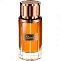 Chopard Amber Malaki, Most sensual Chopard Perfume with Frankincense Fragrance of The Year