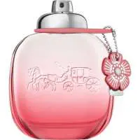 Coach Coach Floral Blush, Long Lasting Coach Perfume with Goji berry Fragrance of The Year