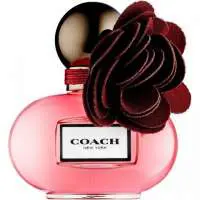 Coach Poppy Wildflower, Confidence Booster Coach Perfume with Orange blossom Fragrance of The Year