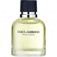 Dolce & Gabbana Dolce & Gabbana pour Homme, Long Lasting Dolce & Gabbana Perfume with Bergamot Fragrance of The Year