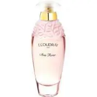 E. Coudray Iris Rose, Long Lasting E. Coudray Perfume with Orris absolute Fragrance of The Year