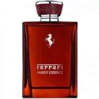 Ferrari Amber Essence, Most sensual Ferrari Perfume with Calabrian bergamot Fragrance of The Year