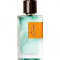 Goldfield & Banks Pacific Rock Moss, Winner! The Best Overall Goldfield & Banks Perfume of The Year