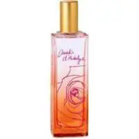 ID Parfums / Isabel Derroisné Jardin d'Antalya, Compliment Magnet ID Parfums / Isabel Derroisné Perfume with Cardamom Fragrance of The Year