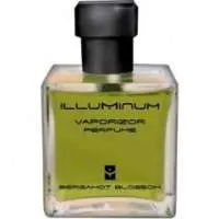 Illuminum Bergamot Blossom, Luxurious Illuminum Perfume with Calabrian bergamot Fragrance of The Year