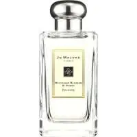 Jo Malone Nectarine Blossom & Honey, Most sensual Jo Malone Perfume with Green notes Fragrance of The Year