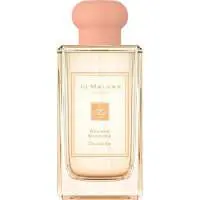 Jo Malone Orange Blossom, Most sensual Jo Malone Perfume with White lilac Fragrance of The Year