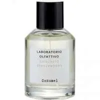 Laboratorio Olfattivo Cozumel, Compliment Magnet Laboratorio Olfattivo Perfume with Aromatic notes Fragrance of The Year