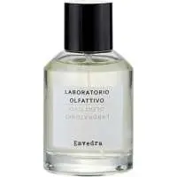 Laboratorio Olfattivo Esvedra, Most beautiful Laboratorio Olfattivo Perfume with Nevenolide Fragrance of The Year