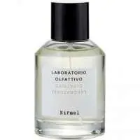 Laboratorio Olfattivo Nirmal, Luxurious Laboratorio Olfattivo Perfume with Carrot Fragrance of The Year
