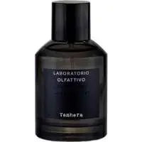 Laboratorio Olfattivo Vanhera, Luxurious Laboratorio Olfattivo Perfume with Bergamot Fragrance of The Year
