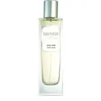 Laura Mercier Ambre Vanille, Most sensual Laura Mercier Perfume with Amber Fragrance of The Year